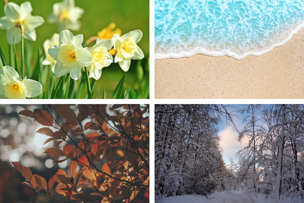 Wir haben mamalila Jacken für alle 4 Jahreszeiten